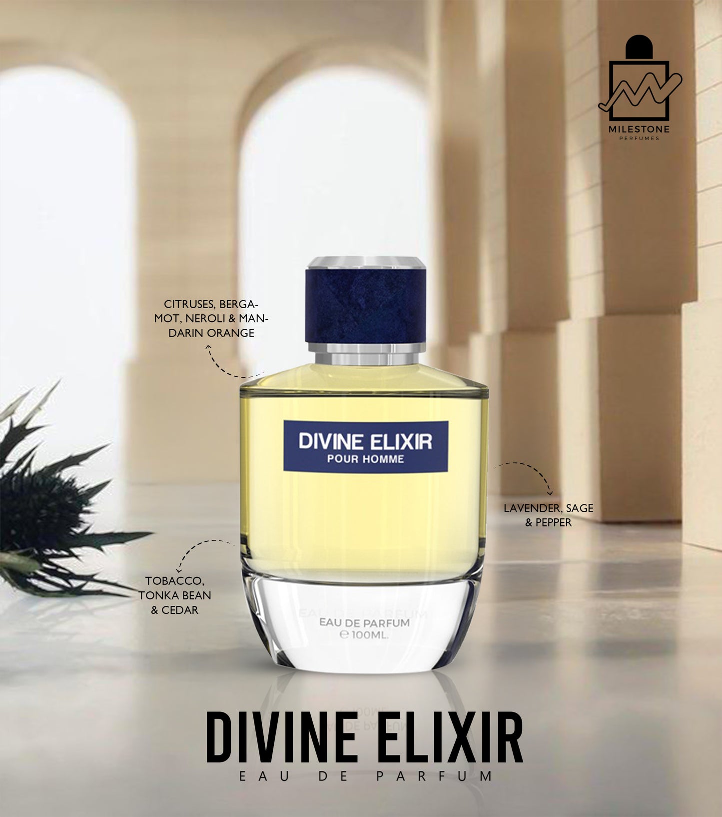 Divine Elixir (Men) - 100ML