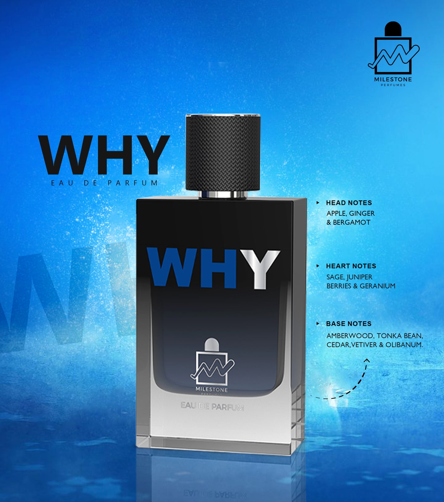 Why (Men) - 100ML
