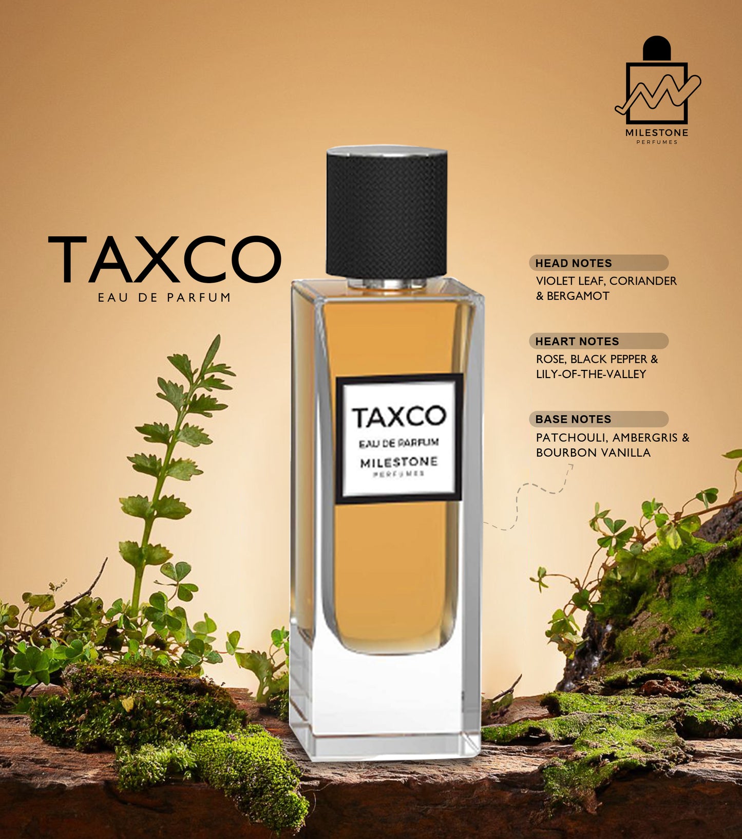 TAXCO (Unisex) – 80ML
